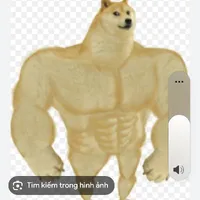 Đức meme