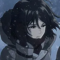 mikasa