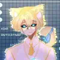 Hiha anti catnap