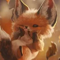 Cáo 🦊 - tác giả 