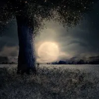 Moon°