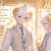hiha sheep