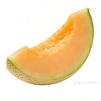 melon |t/g|