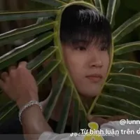 tác giả ngôn lù