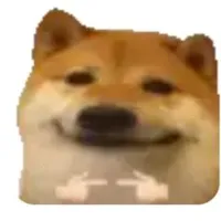 Tác giả cute s1tg