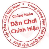 cả lớp