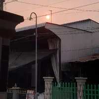 Nt.