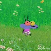 Ruồi Gay