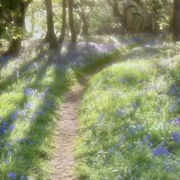 All