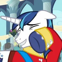 shining armor