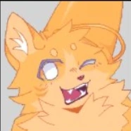Catte