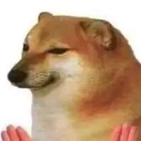 con chó