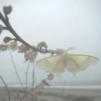 ẩn danh