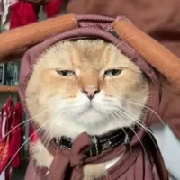 tongtai gián =))