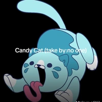 candy cat