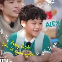 Đuôi nhỏ An Khang 『 𝑨𝒍𝒆𝒙』²¹