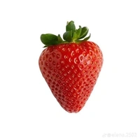 Bee🍓