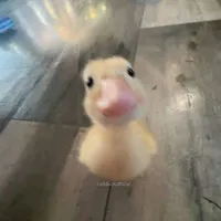 @m1ra.y/n