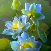 Cả ba