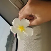 ĐNVP