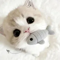 all bot ( trừ ai thì trừ )