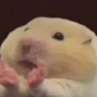 cả lớp