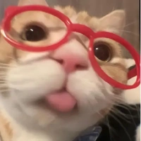 Tgia