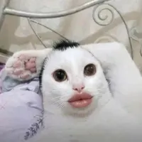 Min
