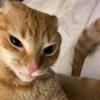 mấy ông giáo viên