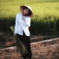 Thanh