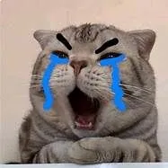 [ Uyên ]
