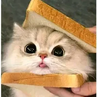 Tác giả