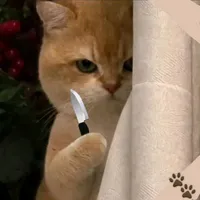 Tác Giả Yêu Gay