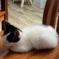 t/g