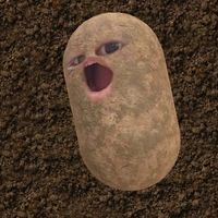 Hihi