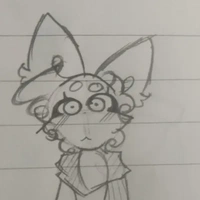 Cia Winterly🦊