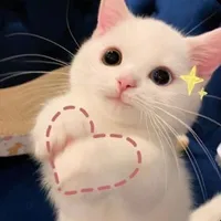 t/g