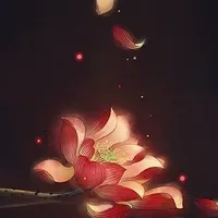 Hạ Khởi Chi