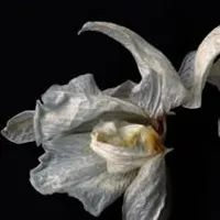 người qua đường
