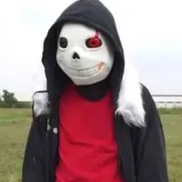 sans fell