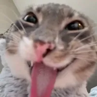 tác giả ^^