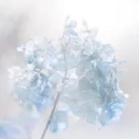 ??₫#!%^