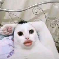 All