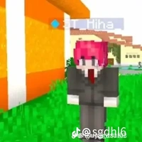 TT hiha
