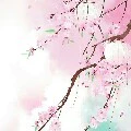 bạn nữ trong lớp