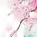bạn nữ trong lớp
