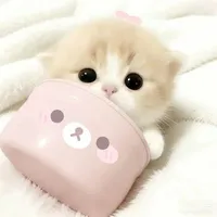 cte phô mai quee