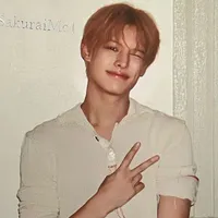 James(chêm)