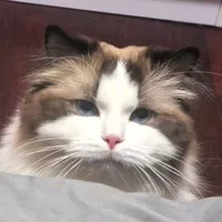 Nhiên Nhiên