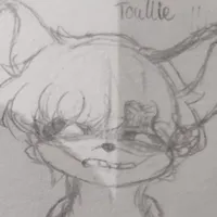 Touille
